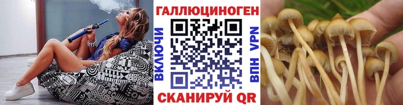 Псилоцибиновые грибы Cubensis  Тарко-Сале 
